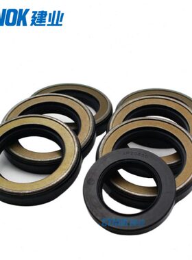 AP3994B：TCN 95*120*13压骨架油封TCN铁壳油封(图片仅参考）