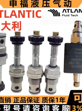 意大利Atlantic插装阀CE000 588 290 253 555 211 518 520 218 32