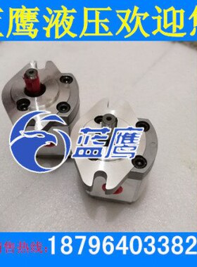 P101/P102/P104/P105/P106/P107/P108/P109 RP01GT齿轮泵 12.7轴