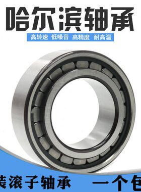 满装圆柱滚子轴承SL04/NNF 5030PP 5032PP 5034PP 5036PP哈尔滨