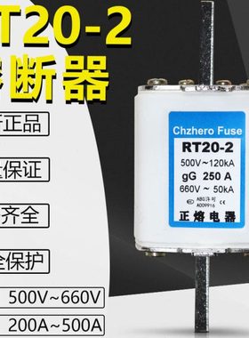 NT2熔断器RT20-2 300A280A250A225A200A180A160A 500V 660V熔芯