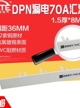 DPN漏电70A汇流排 紫铜1.5*8空开DZ267LE连接排断路器接线排KT006