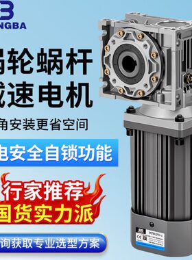 蜗轮蜗杆减速电机RV30RV40RV50RV63RV75铜芯马达转角式调速电动机