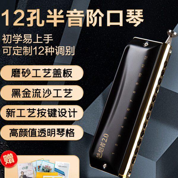 EASTTOP东方鼎半音阶口琴专业演奏12孔c调入门学生初学梦想者2.0