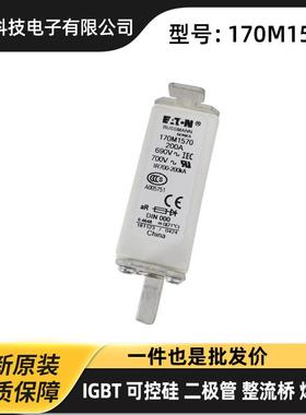 伊顿巴斯曼快速熔断器170M1810 170M1830 170M2620原装原盒