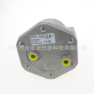10603 DN25螺纹过滤器原装菲奥FIORENTINI燃烧机配件供应商厂家