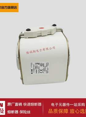 熔断器170M7143 170M7144 170M7145 170M7146 170M7147 170M7148