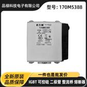 170M6910 保险丝 170M6920进口低压熔断器 170M6918 170M6919