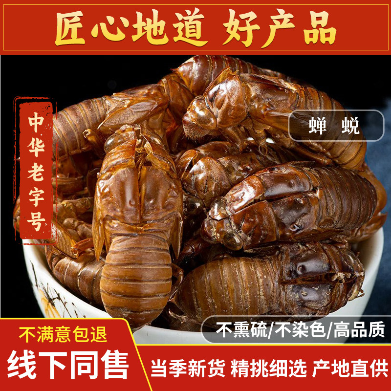 野生蝉蜕中药材500g蝉脱金蝉衣金蝉壳蝉皮蝉壳蝉衣知了皮知了壳粉