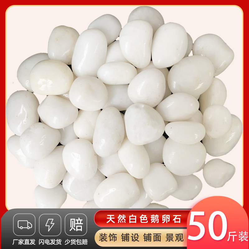 50斤白色抛光鹅卵石庭院花园铺路铺地大小石头户S外阳台造景雨花