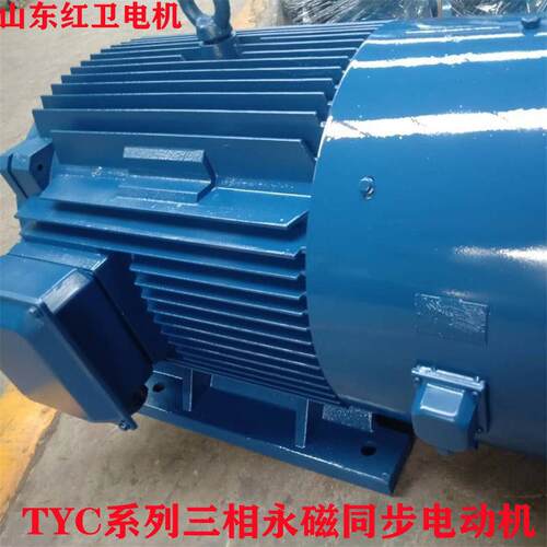 山东厂家直供TYC180-12/11W三相永磁同步电动机质量保障