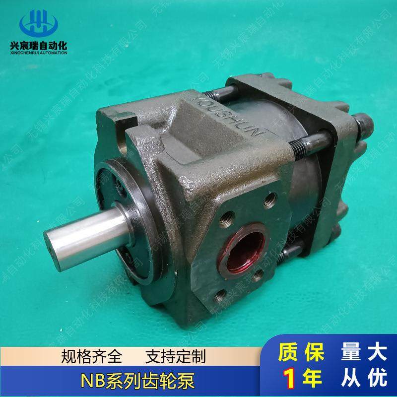 内啮合齿轮油泵NT5-G100F NT5-G125F NT2-C20F NT2-C25F NT2-C32F,鲜花速递/花卉仿真/绿植园艺,割草机/草坪机,淘宝优惠券,粉丝福利购,淘宝优惠卷