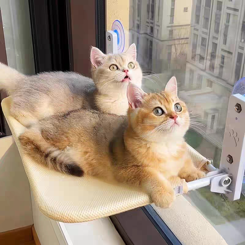 免打孔猫吊床可折叠可拆洗强称重