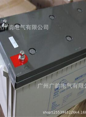 理士DJM12100S 铅酸免维护 12v100ah理士蓄电池 质保三年