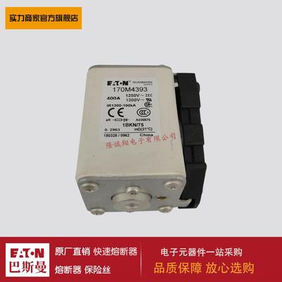 熔断器170M4312 170M4313 170M4314 170M4315 170M4316 170M4317