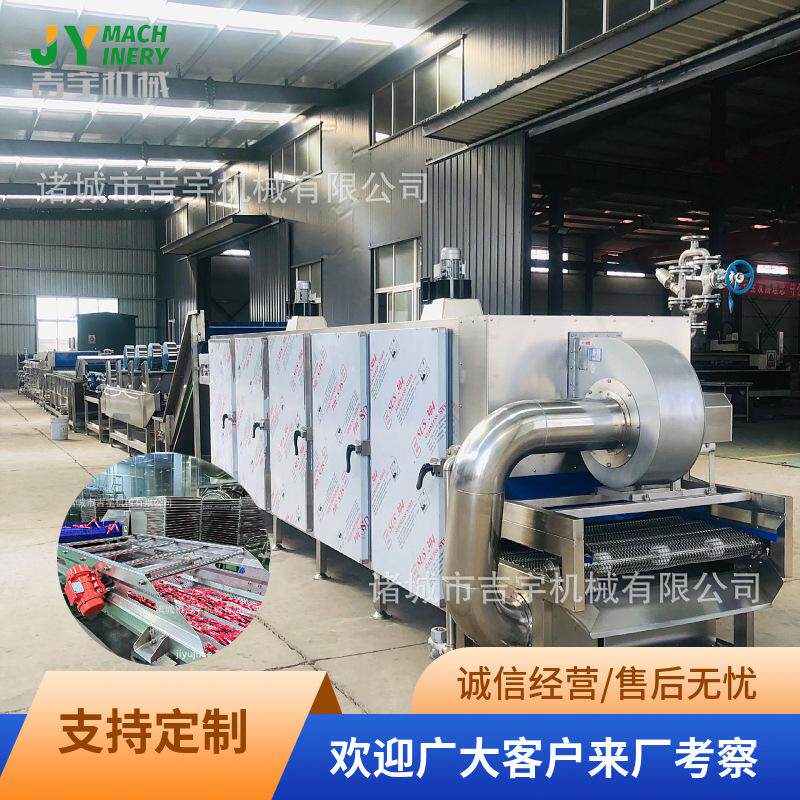 西梅分选去核清洗烘干流水线 西梅果脯成套加工设备 新梅清洗风干