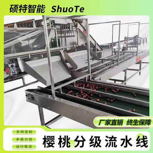 新疆大枣分选机 果蔬加工设备 樱桃小番茄清洗分级机价格