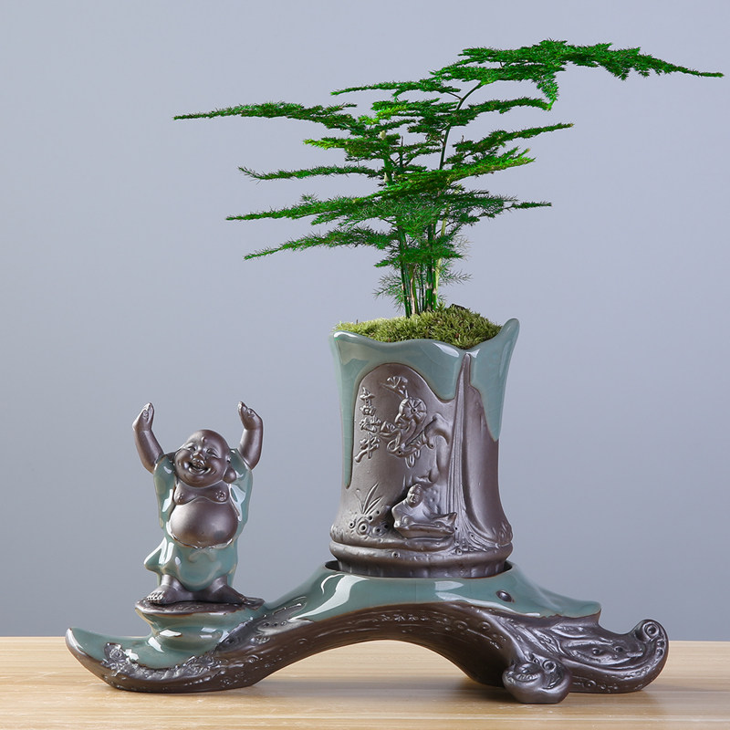 创意个性绿植文竹盆景植物家用办公室内盆栽陶瓷花盆客厅摆件装饰