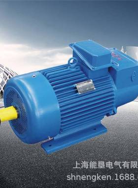 1起电动机YZR32MYZR250M11-6.2KW三重2相异步电机YZR电机绕线转子