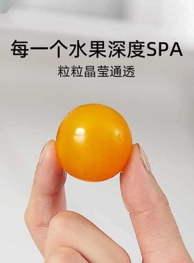 洗水果手洗果盆沥水篮免农残污去渍家果用蔬UDH清洗机