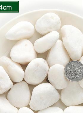 小白白园石子白色鹅卵石日式林枯山砾石水庭院造景雪UDG花砂白沙