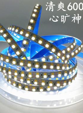 20853一米24灯双色温灯条光白暖QIU白双色灯带三色灯带