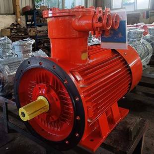 南洋异步电机YB3隔爆型电机YBBP隔爆型变频调速电机