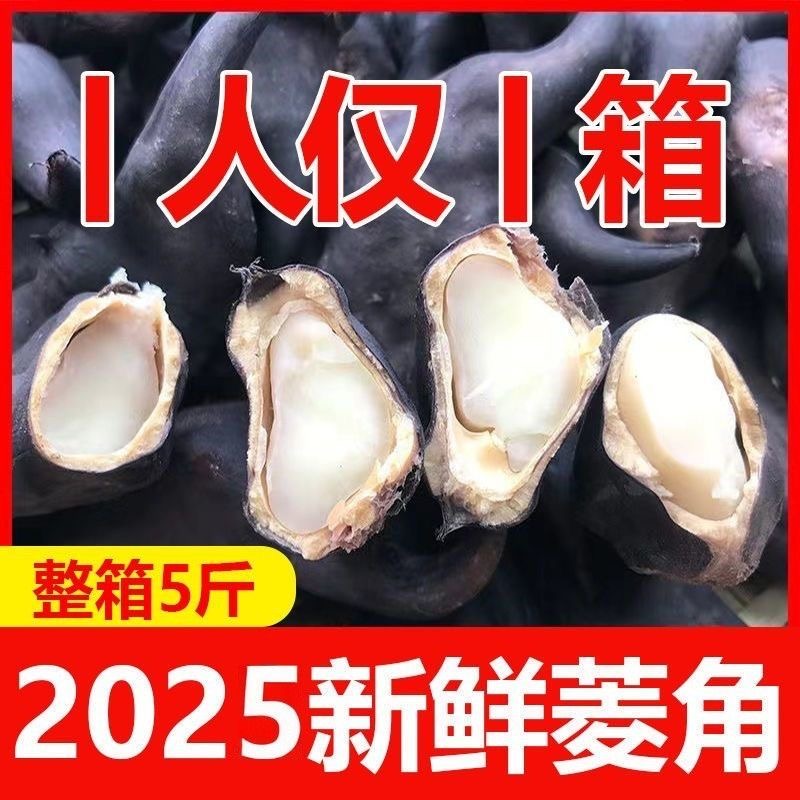 湖北老菱角新鲜菱角现摘黑壳粉糯