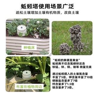 学校蚯蚓塔蚯蚓食盒蚯蚓养殖厨余果皮菜叶堆肥蚯蚓粪种植土壤改良