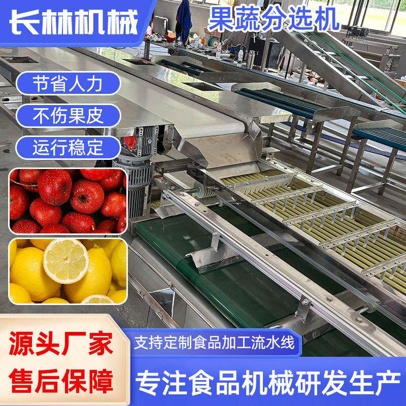 商用核桃选果机红枣山楂机器筛选分选机油桃柠檬分级机设备