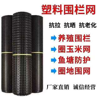 塑料围栏网鱼塘果园养殖防护菜园栅栏户外家用拦鸡圈玉米围栏胶网