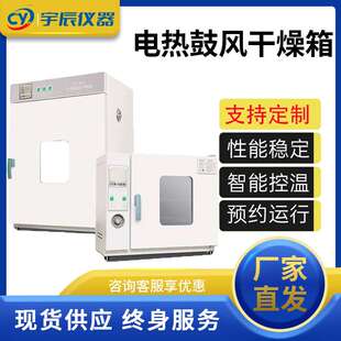 电热鼓风干燥箱高温加热小型工业烤箱恒温烘干机实验室烘箱厂家