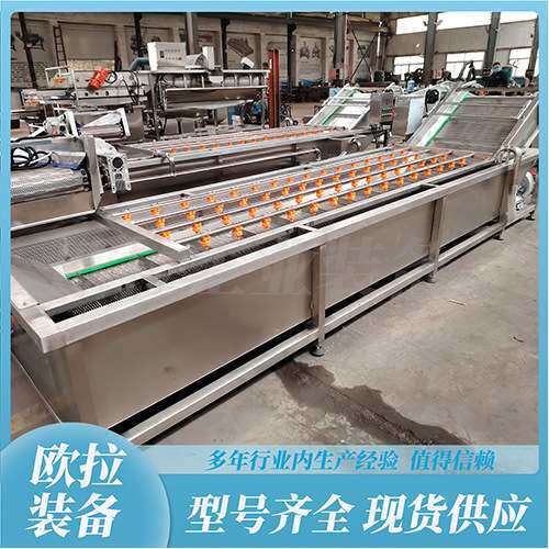 海鲜肉类清洗设备 净菜加工流水线 葡萄干去泥沙清洗烘干机