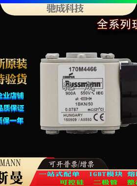 巴斯曼170M4566 170M4567 170M4568 现货直销 零售 快熔保险丝