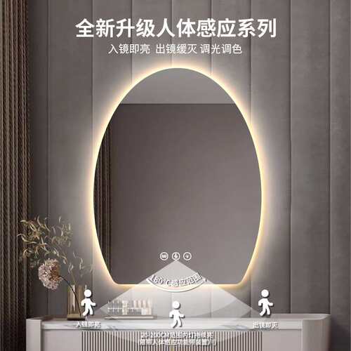 鹅蛋卧室led化妆镜带灯壁挂卫生间梳妆台发光镜浴室智能镜触摸屏