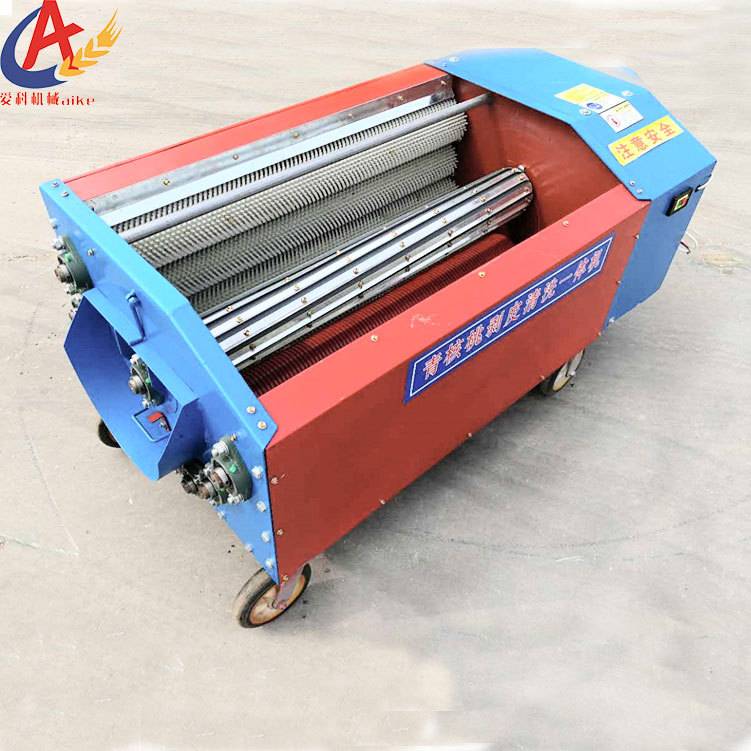 陕西青皮核桃去皮清洗一体机水洗毛刷不伤核桃新款清洗去皮