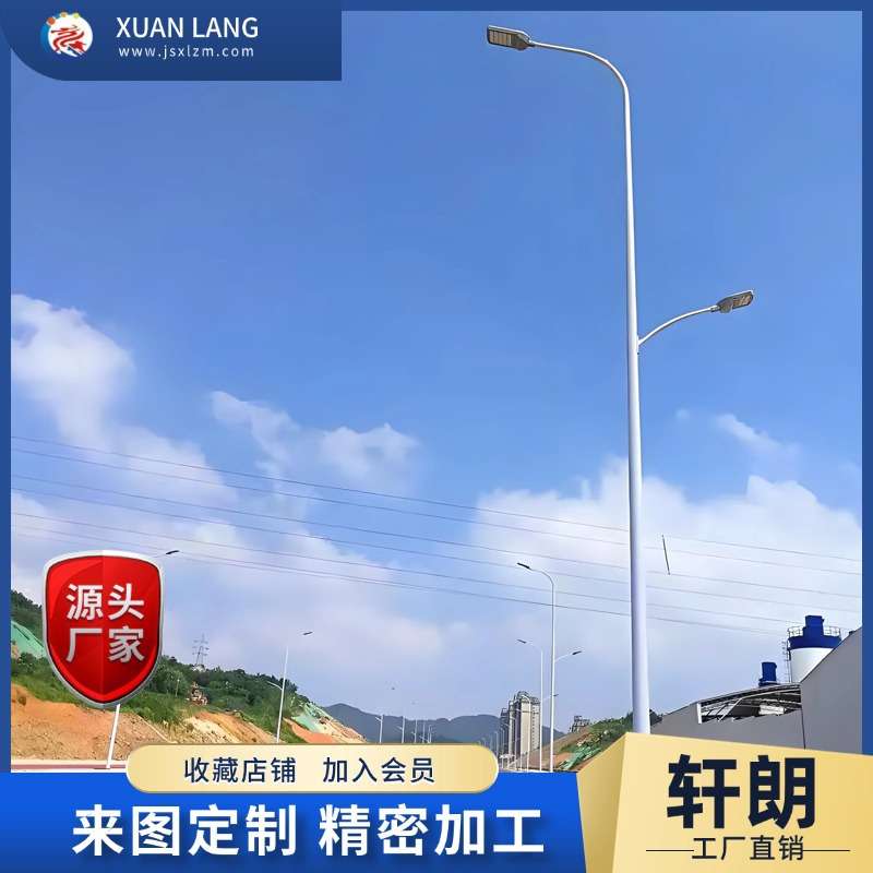 6米8米10米单臂双臂高低臂市政道路工程LED路灯街道照明路灯厂家