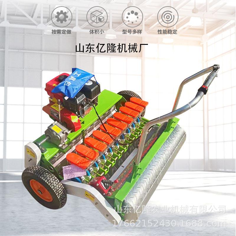 白菜胡萝卜生菜点播机 苋菜茴香芹菜精播机 大葱洋葱育苗播种机