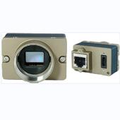 GM10 加拿大DALSA M2050 Vision接口 工业相机 GigE