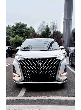 25款腾势D9 虎啸中网