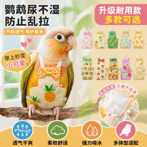 【免费试用】可换尿片鹦鹉飞行服
