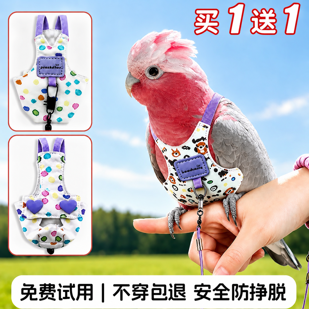 【免费试穿】鹦鹉专用飞行服