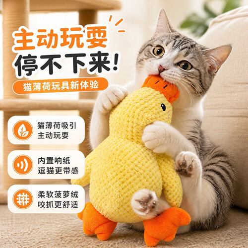 猫薄荷新体验，主动玩耍停不下来