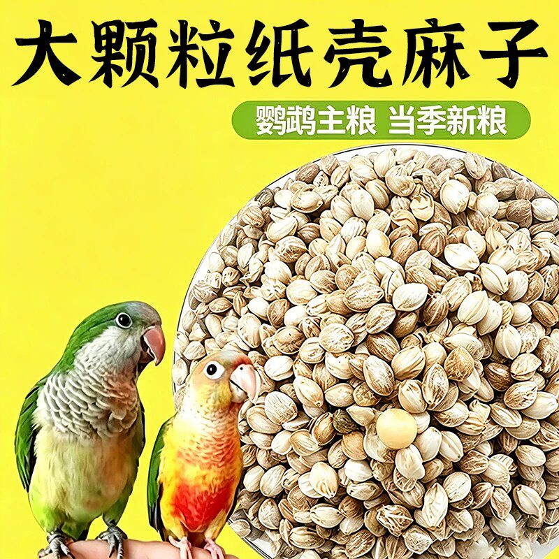 鹦鹉上手训练鸟粮,不吃包退!