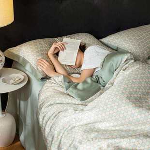 A类100支双面天丝冰丝四件套床上用品被套220xx250x229x230x248cm