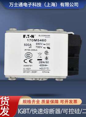 熔断器170M5458 170M5459 170M5460 170M5461 170M5462 170M5463