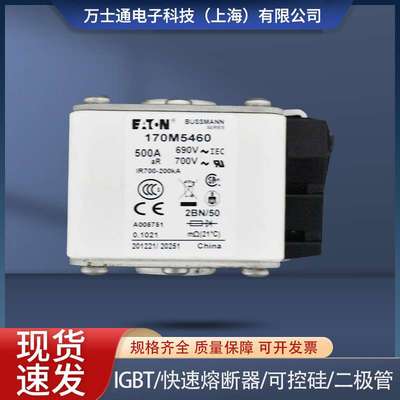 熔断器170M5458 170M5459 170M5460 170M5461 170M5462 170M5463