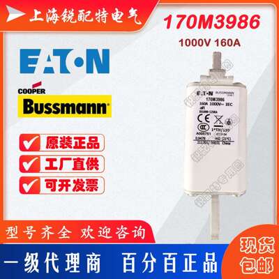 170M3986快速熔断器 1000V 160A  巴斯曼BUSSMANN快速熔断器