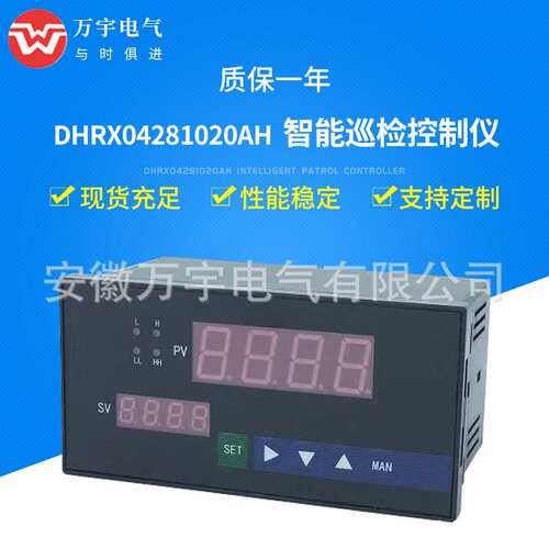 DH021B2220201320AH  智能双回路控制仪 规格型号齐全
