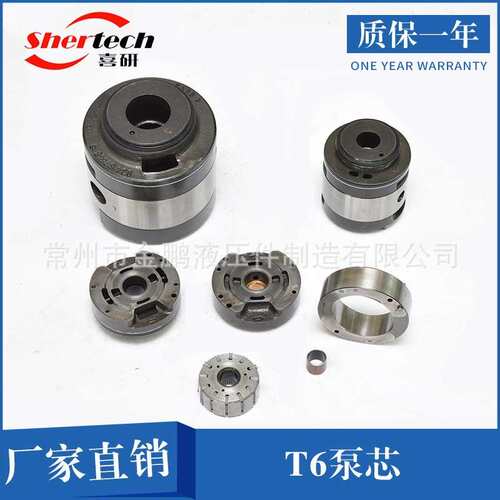 DensionT6泵芯配件T6C、T6D、T6E丹尼逊叶片泵